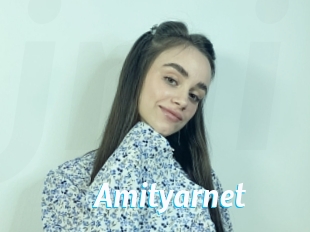Amityarnet