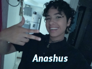 Anashus