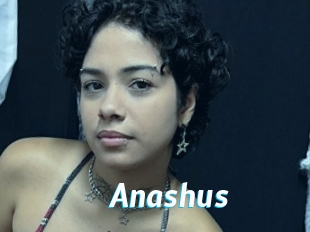 Anashus