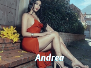 andrea J Mine