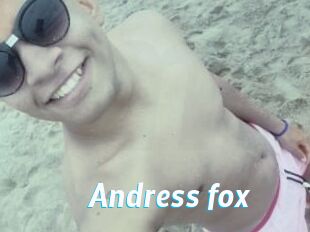 Andress_fox