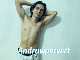 Andruwpervert