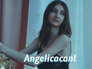 Angelicacant