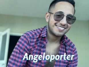 Angeloporter