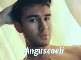 Anguscaeli
