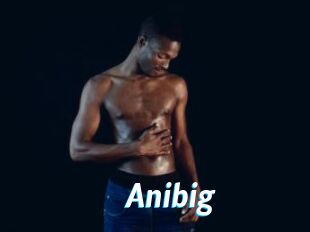 Anibig