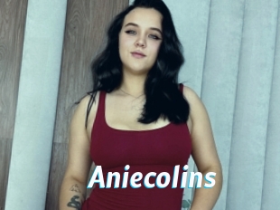 Aniecolins
