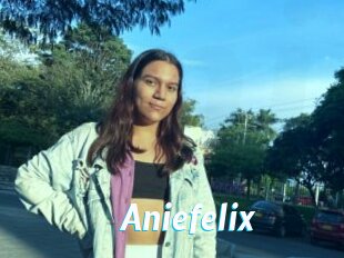 Aniefelix