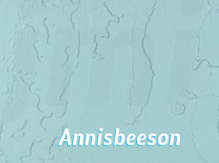 Annisbeeson