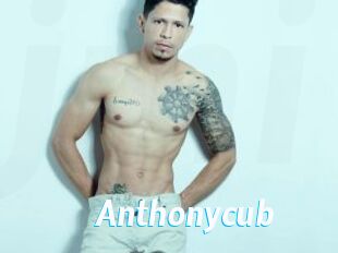 Anthonycub