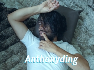 anthonyding J Mine