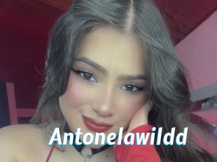 Antonelawildd