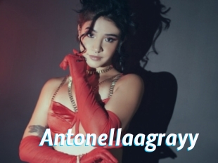 Antonellaagrayy