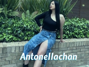 Antonellachan