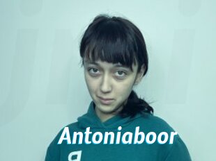 Antoniaboor