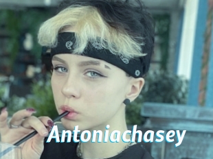 Antoniachasey