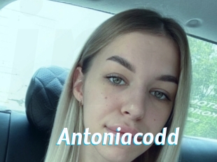 Antoniacodd