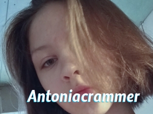 Antoniacrammer