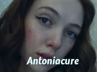 Antoniacure