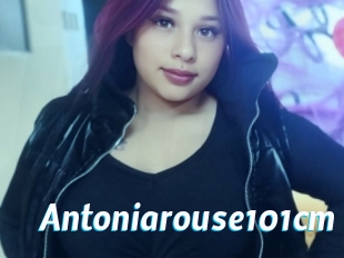 Antoniarouse101cm