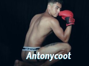 Antonycoot
