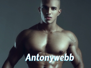 Antonywebb