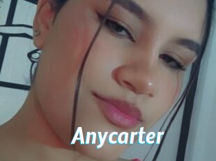 Anycarter