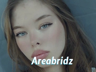 Areabridz