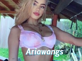 Ariawangs