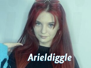 Arieldiggle