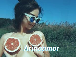 Arinaamor
