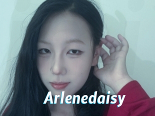 Arlenedaisy
