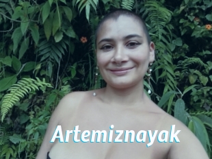 Artemiznayak