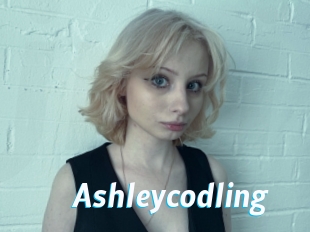 Ashleycodling