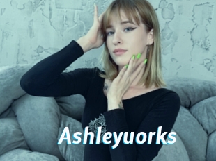 Ashleyuorks