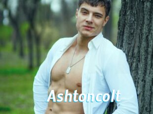 Ashtoncolt