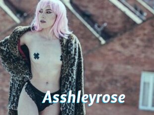 Asshleyrose