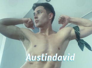 austindavid J Mine