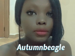 Autumnbeagle