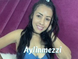 Aylinmezzi