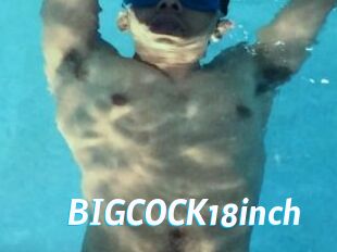 BIGCOCK18inch