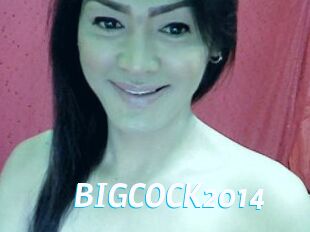 BIGCOCK2014 J Mine