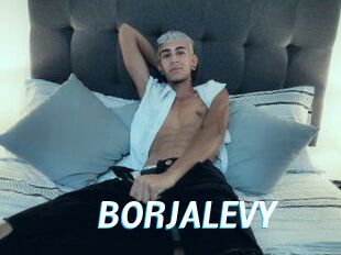 BORJALEVY