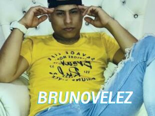 BRUNOVELEZ J Mine