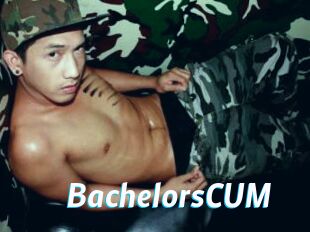 BachelorsCUM J Mine