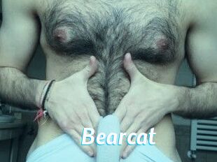 Bearcat