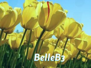 BelleB3