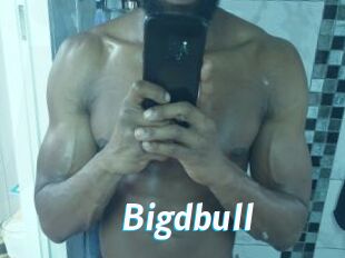 Bigdbull