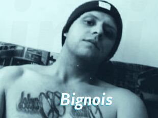 Bignois