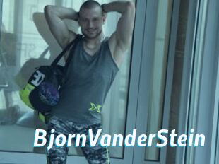 BjornVanderStein